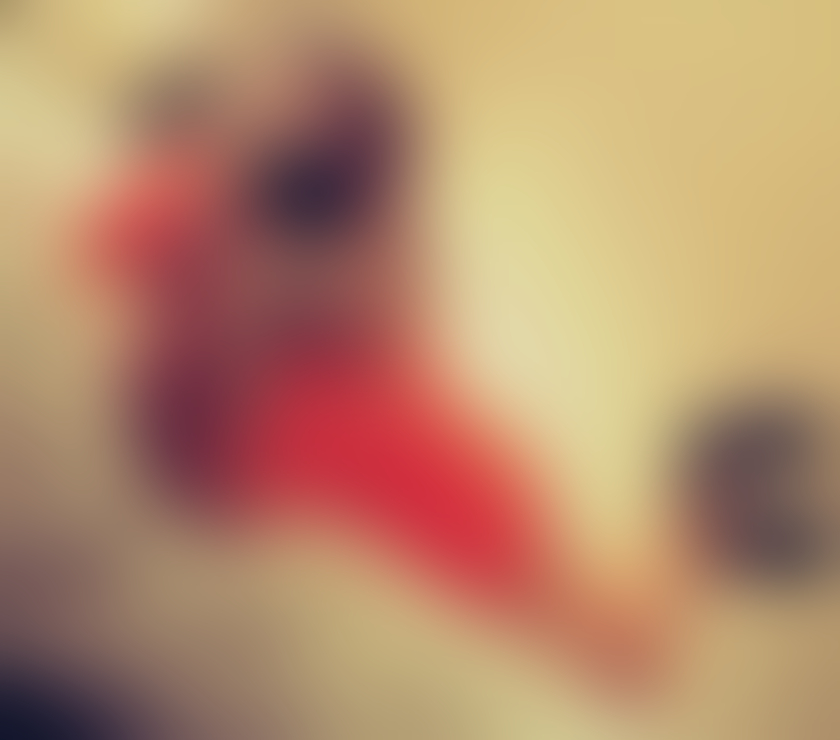 Escorts Greater Manchester Stockport - Photos for Blonde Gabriella curvy model best party choice 🥳